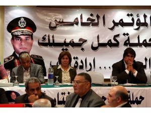 Sisiye destek kampanyası hükümete takıldı