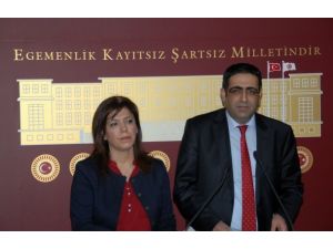 BDP demokratikleşme önerilerini açıkladı