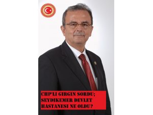 CHP’li Girgin sordu