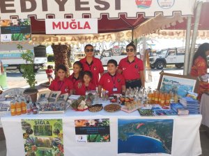 MARMARİS’İN KOKUSU ALANYA’DA