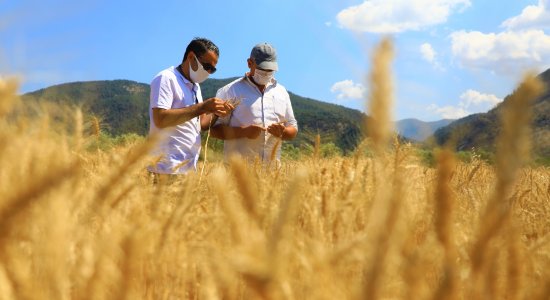 Büyükşehir Destekliyor, Muğlalı Çiftçiler Üretiyor