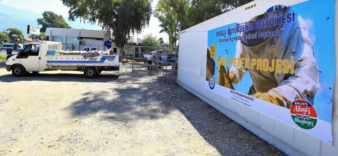 Arıcılara “Can Suyu” olacak proje hayata geçti