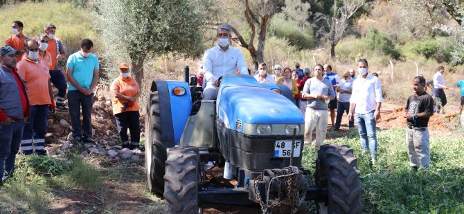 Yer Fıstığında İlk Hasat Yapıldı