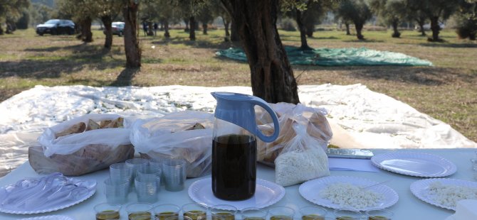 Marmaris Belediyesi Yağ Üretip Zeytin Tanıtacak