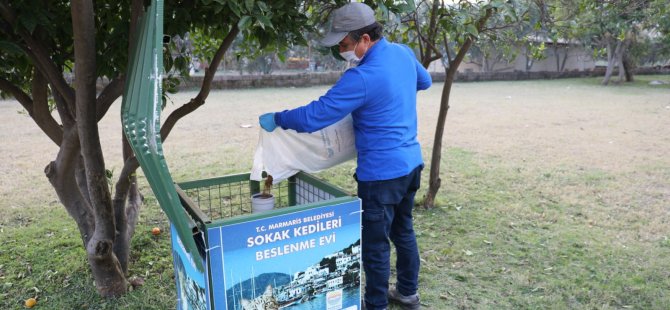  Patili Dostlar Aç Kalmadı