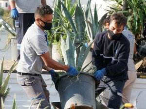 Bodrum, Seyir Terasına Kavuştu