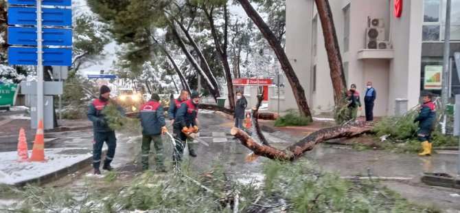 Menteşe’de Kar Sevinci 