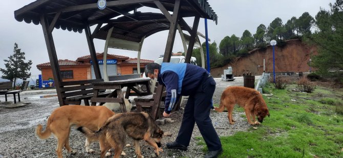 Muğla Büyükşehir Ula Göleti’ndeki Can Dostları Unutmadı