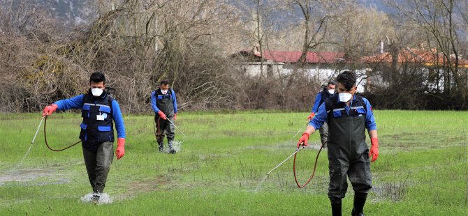 Karabağlar’da 350 Hektar Sulak Alanda Vektör Mücadelesi