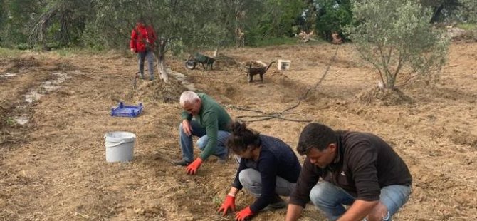 SELİMİYE KIRMIZI PATATESLE TANIŞTI