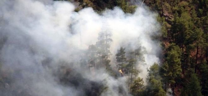 Muğla'daki orman yangınlarında 'sabotaj' şüphesi! Soruşturma başlatıldı