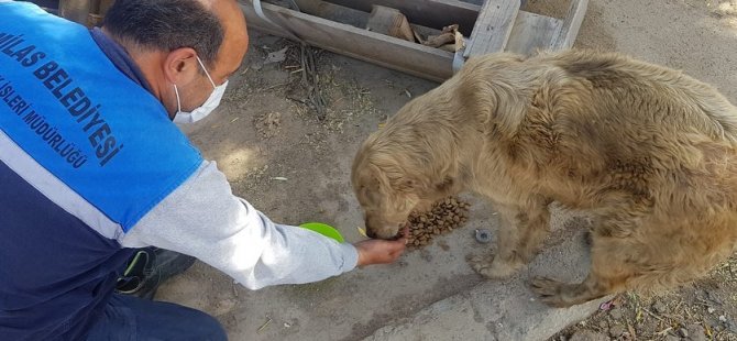 Milas Belediyesi Tam Kapanmada Yoğun Çalışıyor