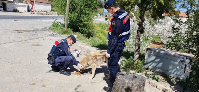 Muğla’da Vefa Sosyal Destek Grubu’nun Çalışmaları Aralıksız Devam Ediyor