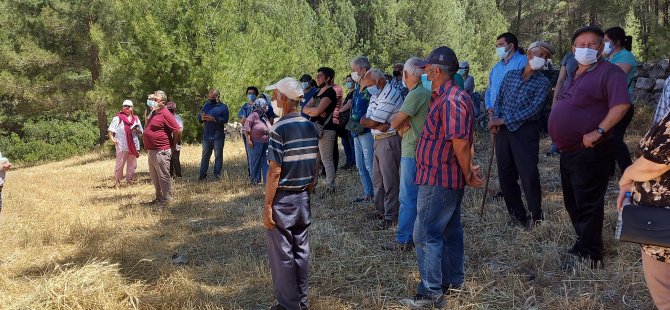 İkizköy Akbelen Ormanı Hem Muğla’nın Hem De Türkiye’nin Sorunudur!