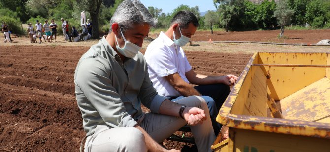 Marmaris Belediyesinden Köylüye Fıstık Dağıtımı