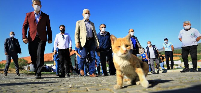 Pandemi Döneminde Can Dostlara İlgi Arttı