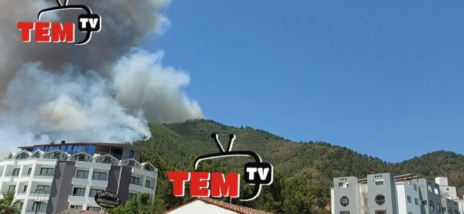 Son dakika... Marmaris'te orman yangını! Orman Genel Müdürlüğü: Bir kahraman personelimiz şehit oldu    