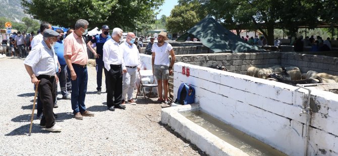 Büyükşehir Mezbahalarına Kurban Bayramı’nda Yoğun İlgi