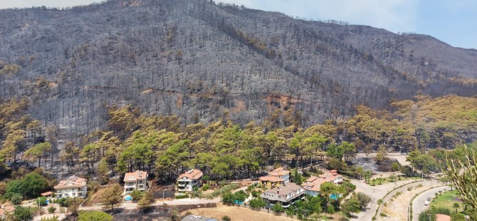 İşte yangın bölgesinde son durum