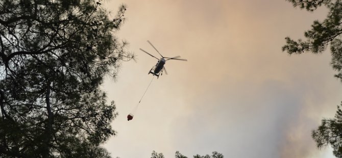 Bodrum yine yanıyor! Evler ve oteller boşaltılıyor üst üste anonslar yapılıyor