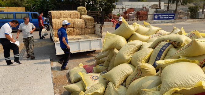 Büyükşehirden Yangın Mağduru Üreticilere 368 Ton Hayvan Besini Desteği