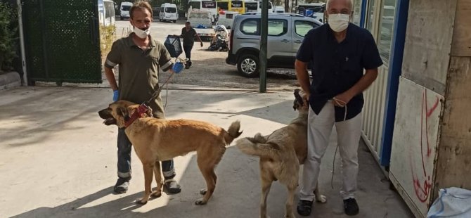 BAKIMEVİ EN GÜVENLİ ALAN OLDU