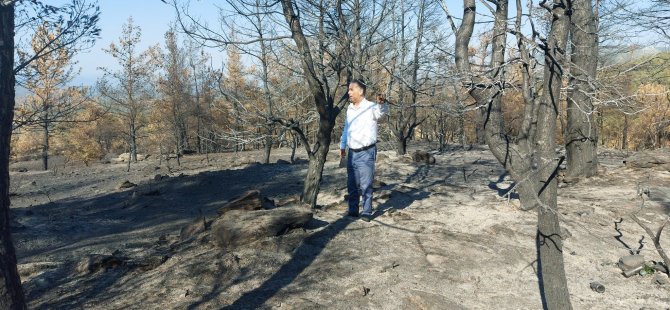 CHP’Lİ ÖZCAN’DAN TARIM VE ORMAN BAKANINA  ORMAN YANGINLARI İLE İLGİLİ  41 SORU