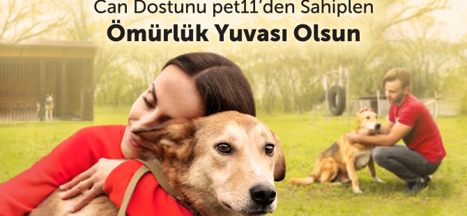 Pet11, “Barınaktan Köpek Sahiplenme” Projesi!