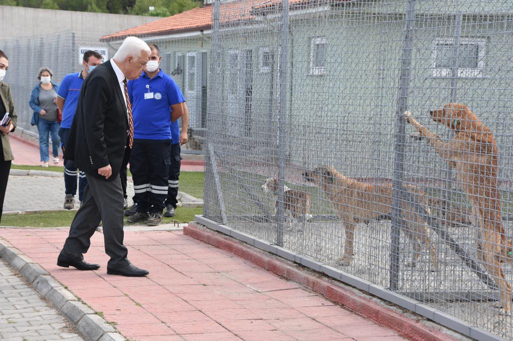 Başkan Gürün Geçici Hayvan Bakımevini Ziyaret Etti