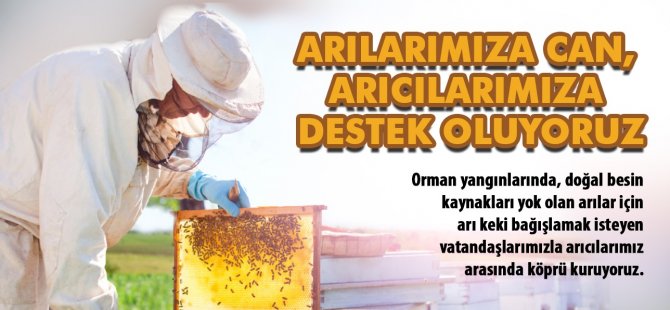 Büyükşehirden Arıcılara Destek Kampanyası