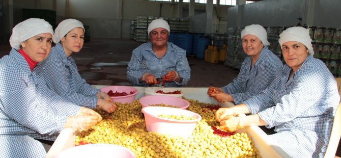 Sofralık zeytin ihracatı 150 milyon doları aştı