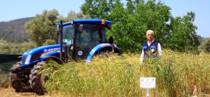 Muğla’da üreticiler bilinçli üretim yapıyor