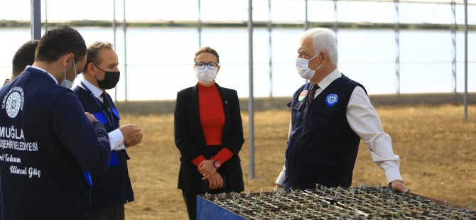 Büyükşehir Yağmur Hasadıyla Yılda 300 Ton Su Tasarrufu Sağlıyor