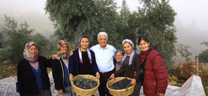 Başkan Gürün; “Zeytinliklerin Korunması İçin Hukuki Mücadele Başlatıyoruz”