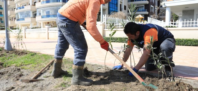 UZUNYALI’YI ZAKKUMLAR SÜSLEYECEK