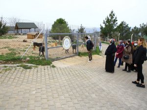 Geçici Hayvan Bakımevi Milli Piyango Kız Yurdu öğrencilerini ağırladı