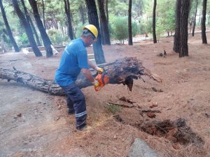 Büyükşehir’den Vatandaşlara Yakacak Desteği