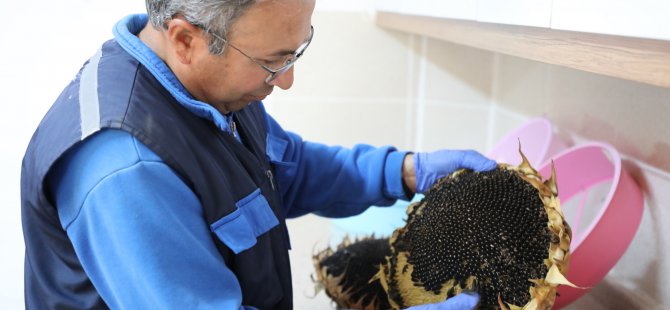 Büyükşehir Önümüzdeki Yılın Tohumlarını Dağıtıma Hazırlıyor