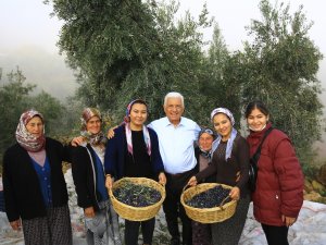 Büyükşehir Belediyesinin Çevre Dava Sayısı 135’e Çıktı