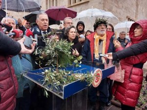 CHPLİ ÖZCAN MÜJDELİ HABERİ VERDİ: HEP BİRLİKTE ZEYTİN YASASINI BU TORBADAN ÇIKARTTIK!