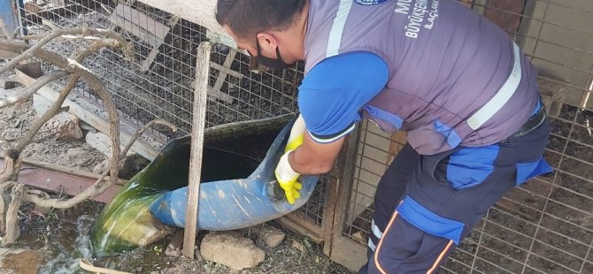 Büyükşehir Ekipleri’nden Yağmurlar Sonrası Vektörle Mücadele Çalışmaları