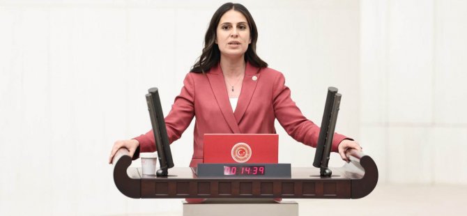 Muğla Milletvekili Gizem Özcan’dan Bodrum’da tehdit edilen gazetecilere destek