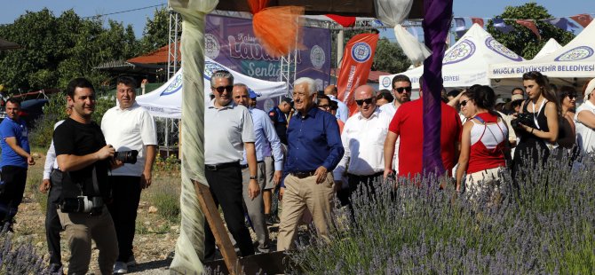 Büyükşehir Lavanta Şenliği’ne Vatandaşlardan Yoğun İlgi