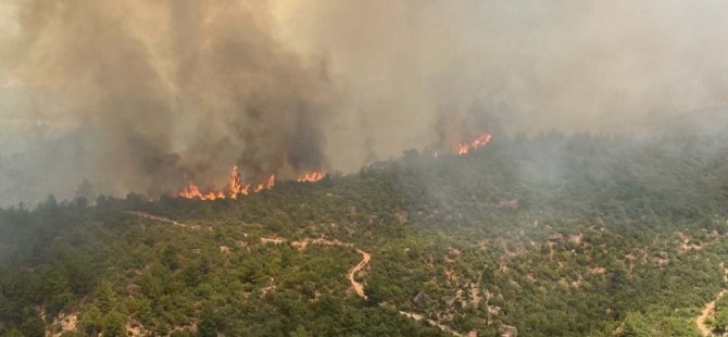 Çanakkale orman yangını son durum nedir, söndürüldü mü, can kaybı var mı?