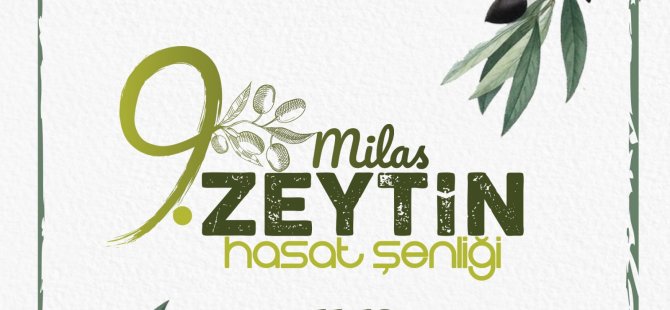 9. MİLAS ZEYTİN HASAT ŞENLİĞİ HEYECANI BAŞLIYOR