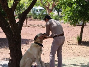 BAŞKAN ÜNLÜ’DEN ‘SAHİPLENME’ ÇAĞRISI