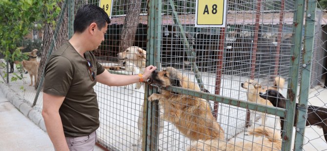 ÜNLÜ’DEN YENİ YASAYA VİDEOLU TEPKİ