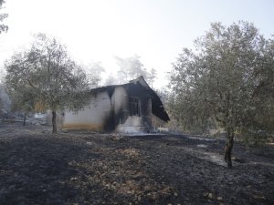 Muğla'nın Menteşe ilçesi Sarnıç köyü yangın bölgesinde gün ağarmasıyla son durum ortaya çıktı