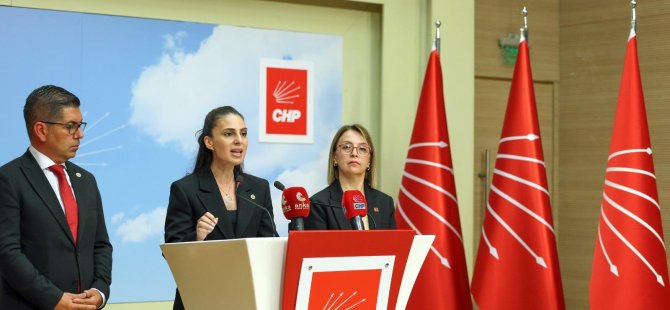 Muğla Milletvekili Gizem Özcan;  “Laik ve bilimsel eğitimden giderek uzaklaştık”