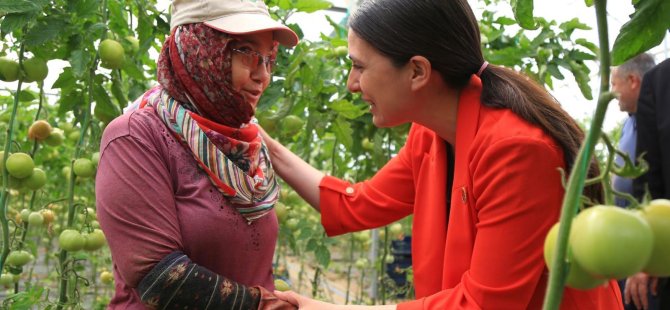 Milletvekili Gizem Özcan, Bakan Yumaklı’ya sordu; “776 bin hektar ekilemeyen tarım arazisinin ne kadarı Muğla ili sınırları içerisinde yer almaktadır?”